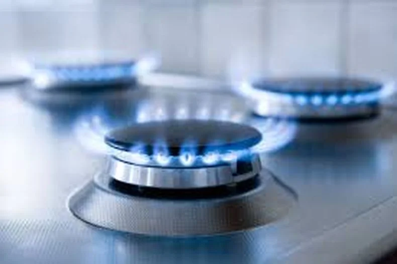 El Partido Verde criticó los cambios en los subsidios al gas. 
