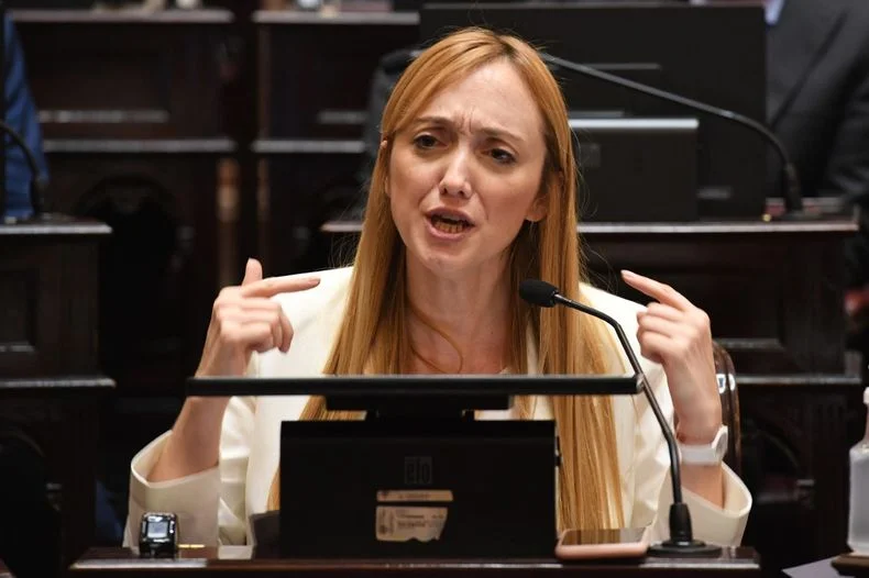 Anabel Fernández Sagasti cruzó a Javier Milei: "Necesitan retroceder para que los fuertes dominen"