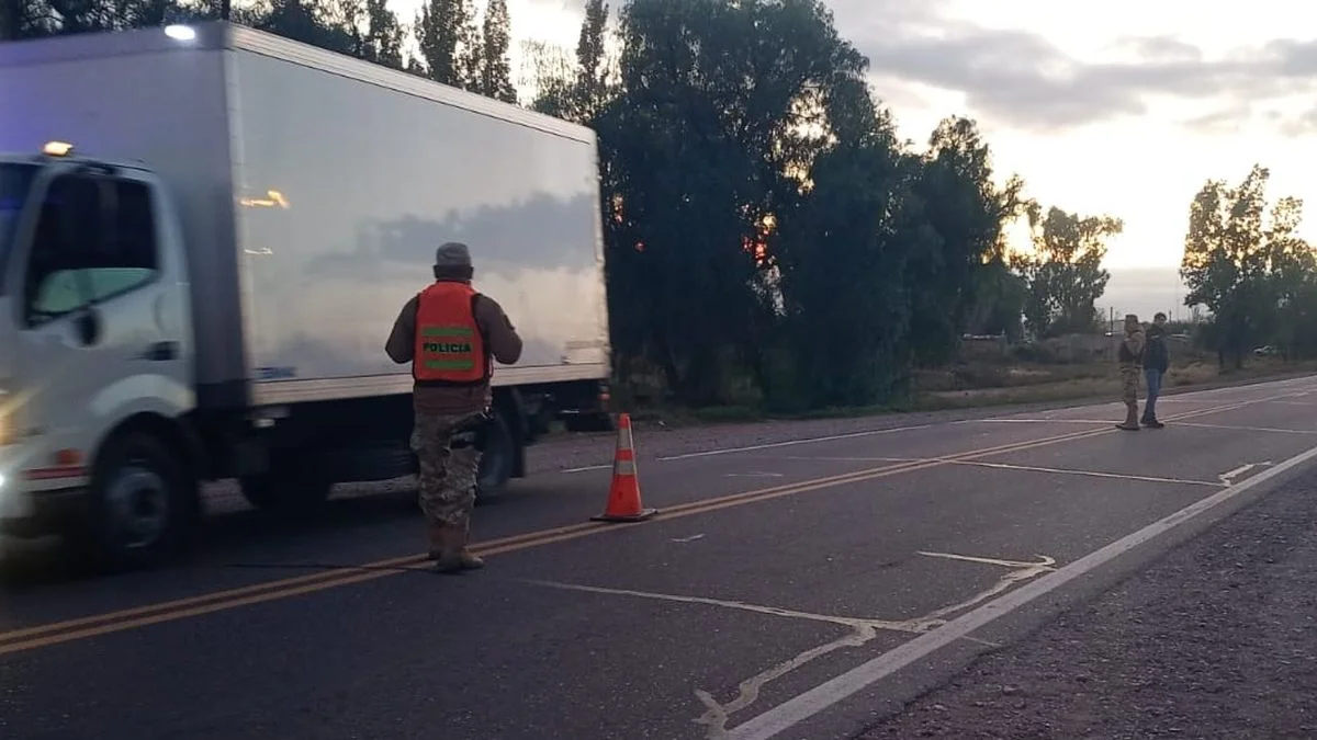 Secuestran casi 300 kilos de carne en mal estado y hay más de 10 aprehendidos