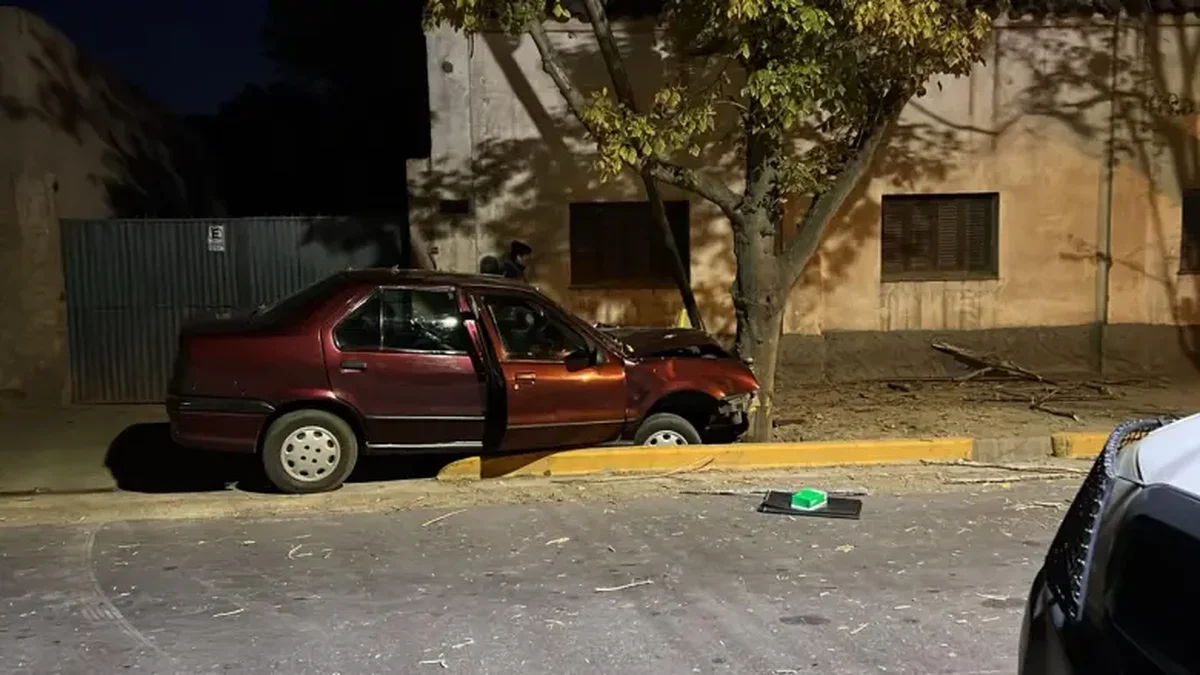 Un hombre chocó contra un poste y un árbol: su padre murió tras el impacto