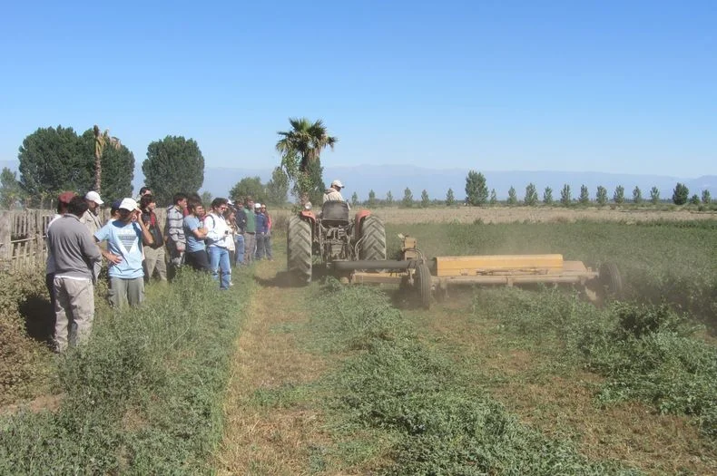 El Gobierno de Mendoza junto al Cl&uacute;ster Ganadero y la Fundaci&oacute;n Coprosamen buscan que productores puedan comprar antenas para instalar internet.&nbsp;
