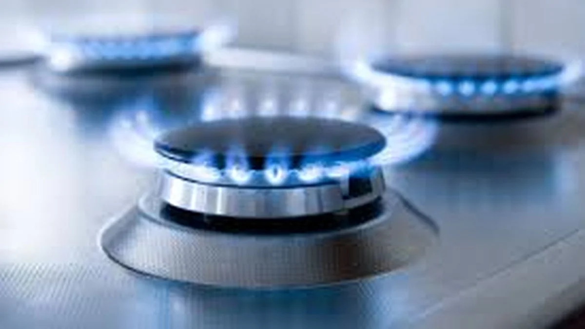 Recorte a los subsidios en el gas: qué ocurrirá con Malargüe
