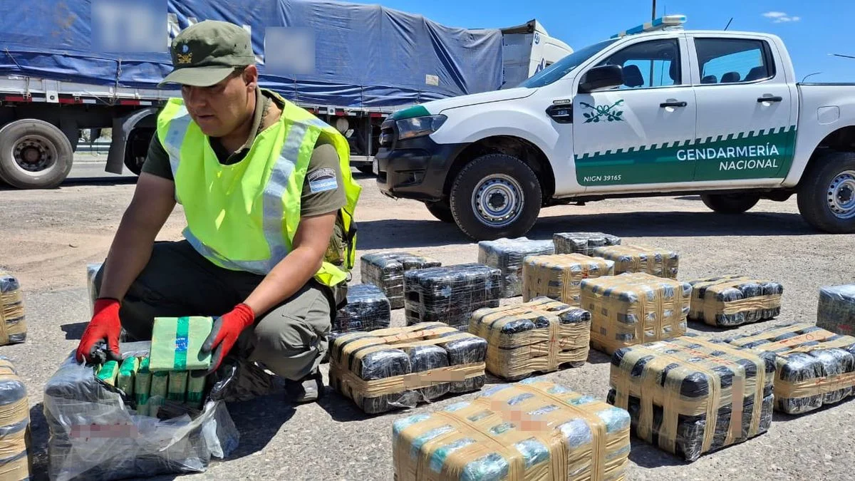 Detenido en San Juan: intentaba cruzar a Chile con más de 300 kilos de hojas de coca
