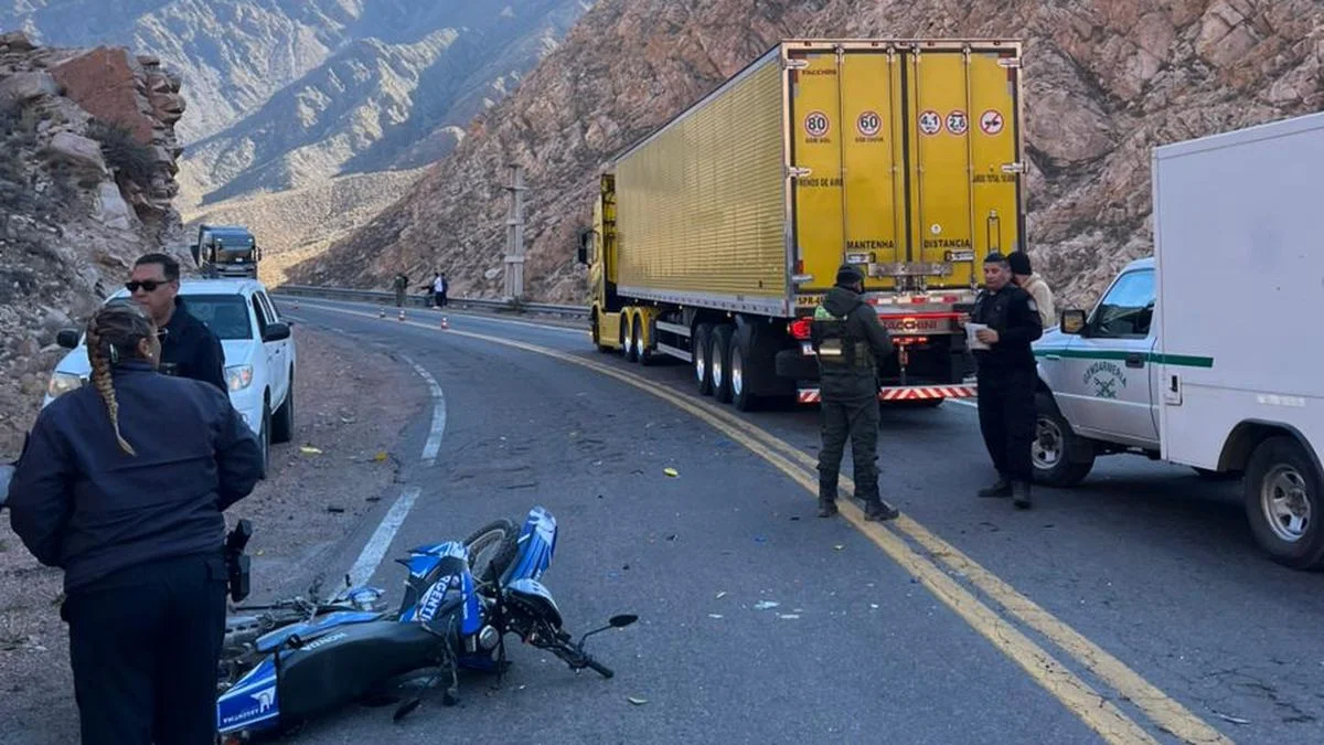 Un motociclista indio sufrió graves heridas tras chocar contra un camión en el paso Cristo Redentor