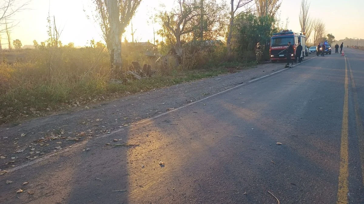 Un joven murió tras volcar e impactar con su auto contra una arboleda en Lavalle