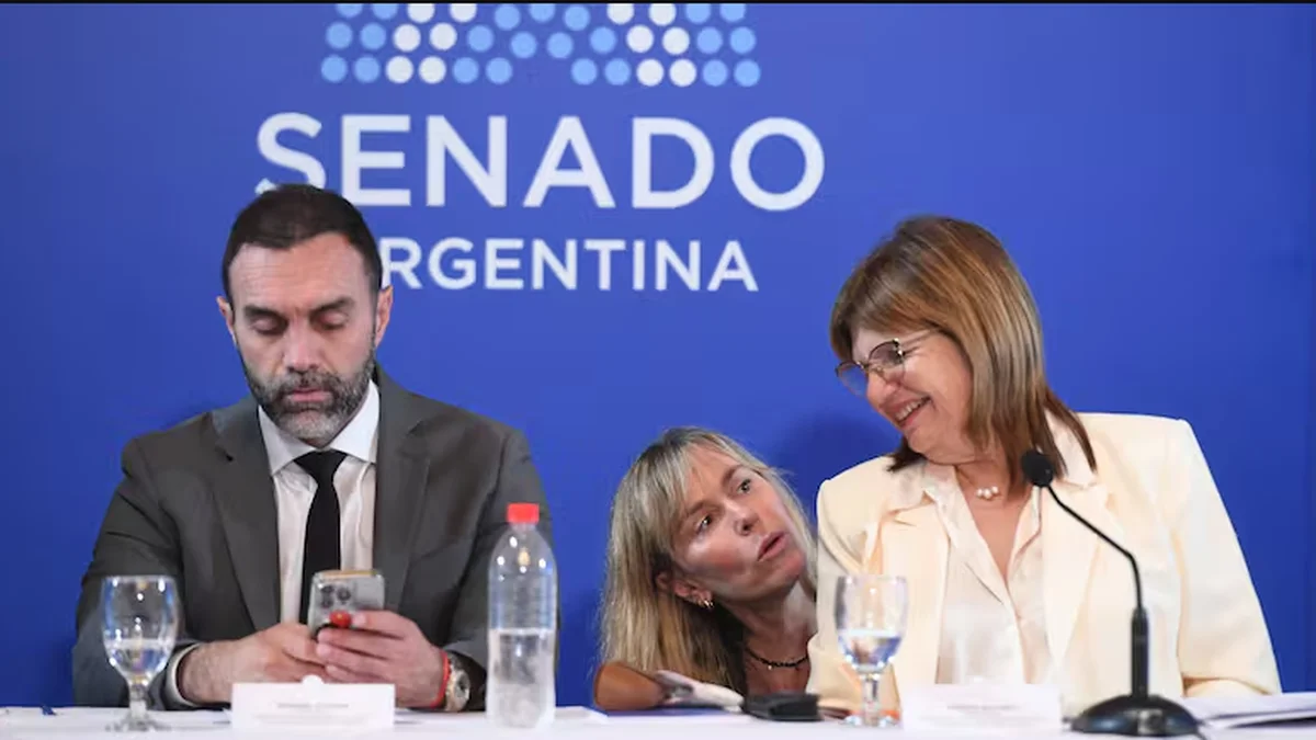 Traspié de Bullrich en el primer desafío en el Senado: no juntó los votos para la precarización laboral