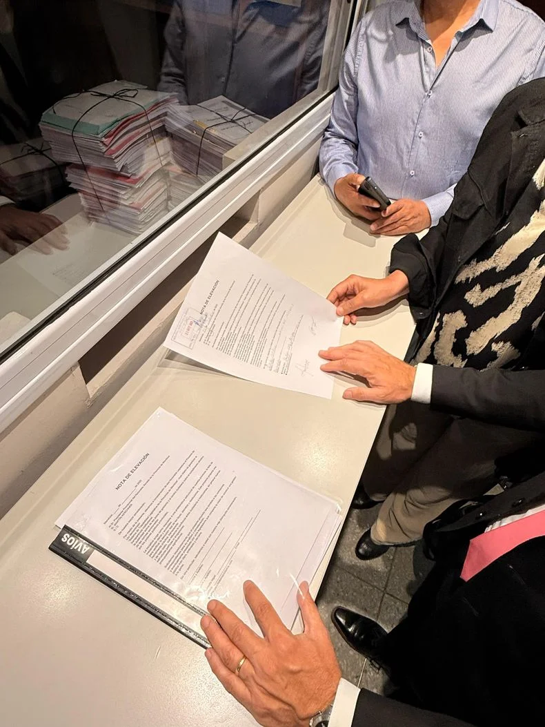 El Partido de los Jubilados present&oacute; el proyecto por la Mesa de Entradas del Senado.&nbsp;