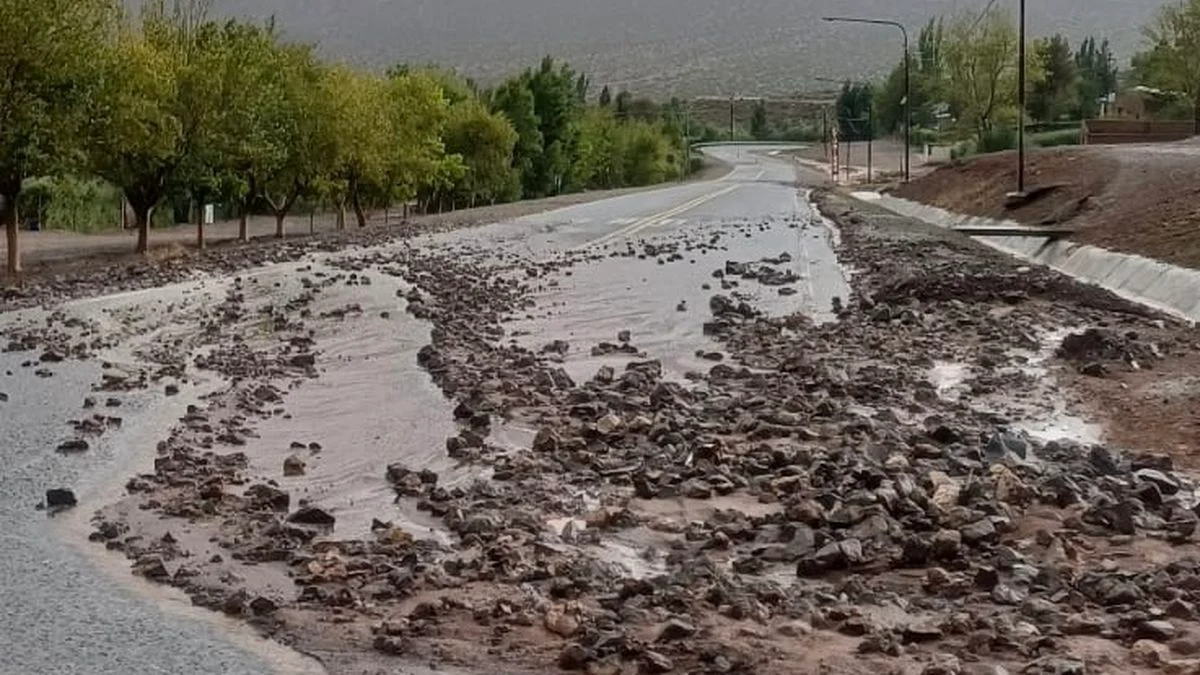 El efecto negativo de las tormentas en Malargüe: los productores de papa semilla pierden todo