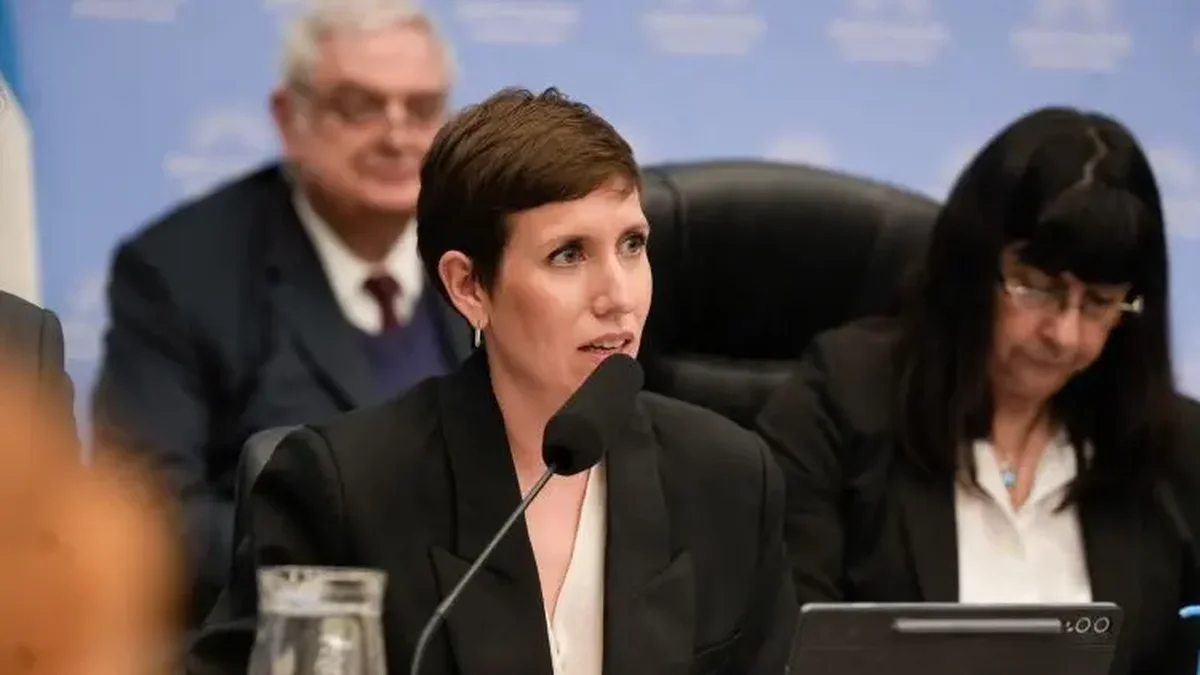 Latorre en la previa de la sesión por Glaciares: "No podemos ponerle un telón a la cordillera por las dudas"