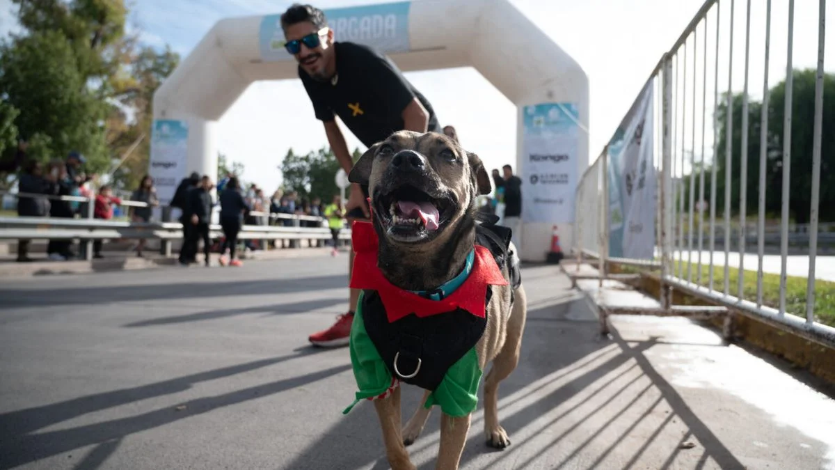 Se viene una nueva edición de la Maratón Animal en Ciudad de Mendoza
