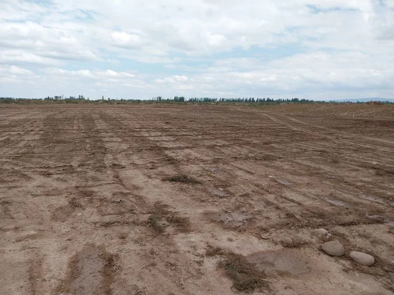 El nuevo sueño de Peumayén toma forma.