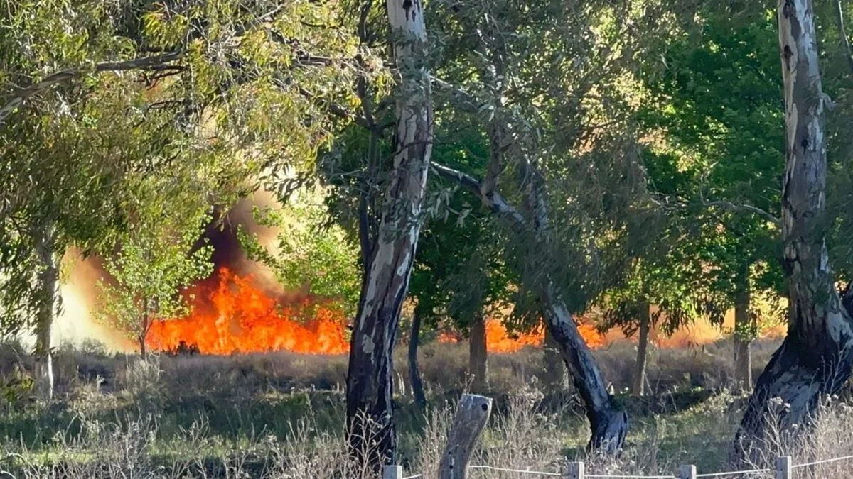 Incendios y viento, una combinación que preocupa en General Alvear