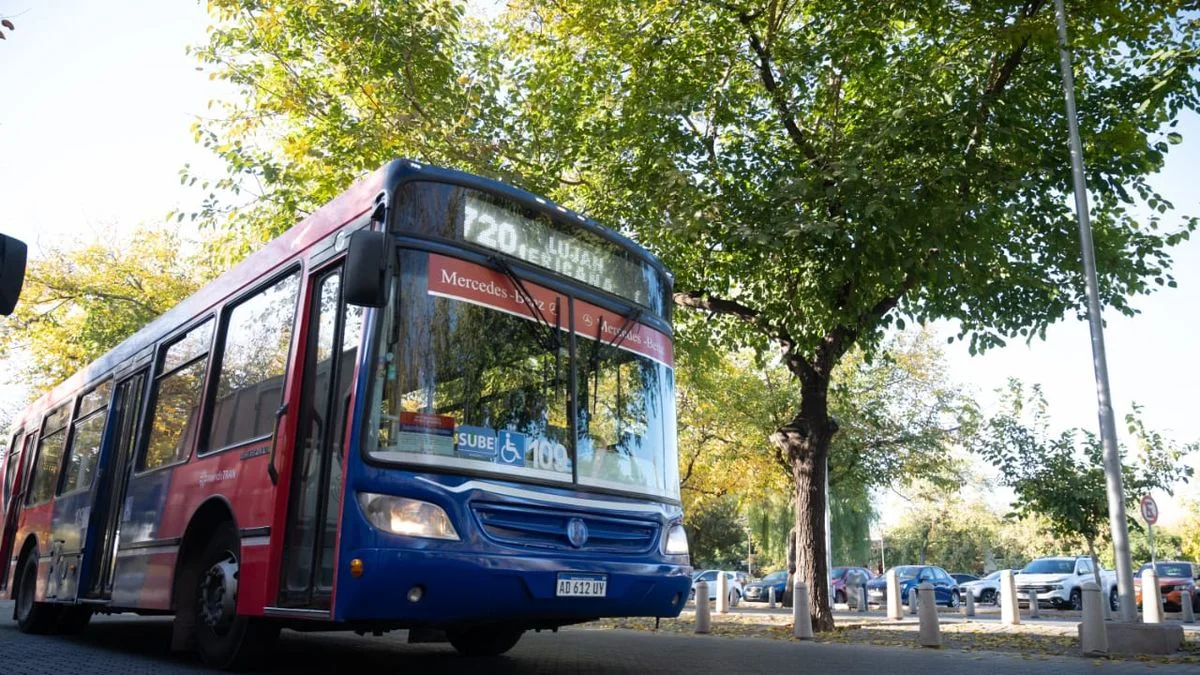 Final del Mundial: no habrá transporte publico en Mendoza debido a los incidentes