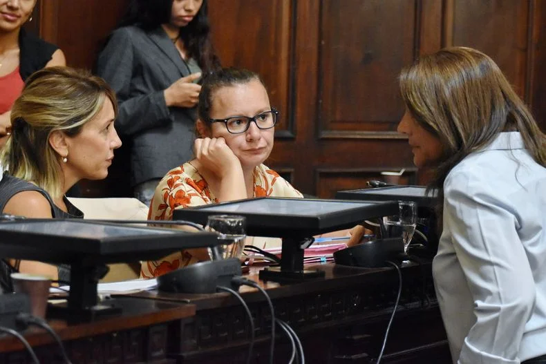 Stella Huczak, diputada por el Pro y presidenta del partido en Luj&aacute;n de Cuyo, vot&oacute; en contra de una expresi&oacute;n por el criptogate. Sus compa&ntilde;eras de bloque opinaron distinto.