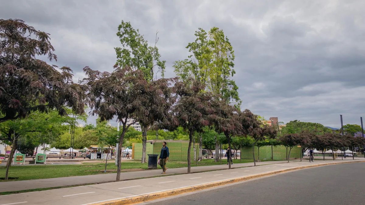 Mendoza en alerta: lluvias, viento Zonda y un cambio de temperatura que arruina los planes del finde