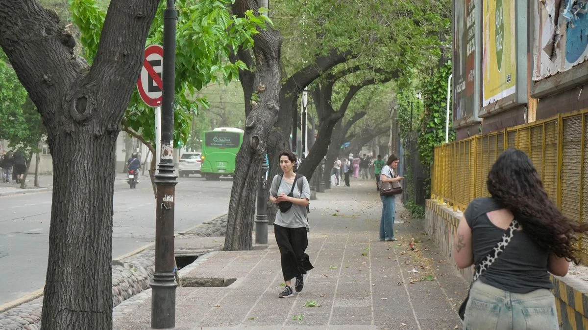 El Zonda azotó Mendoza: un muerto, un herido, árboles caídos y hasta incendios