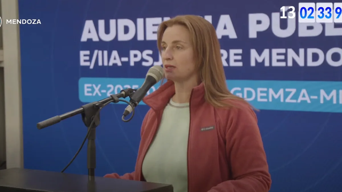 Potente testimonio de una vecina irrumpió en la audiencia de San Jorge: propuso un plebiscito sobre la mina