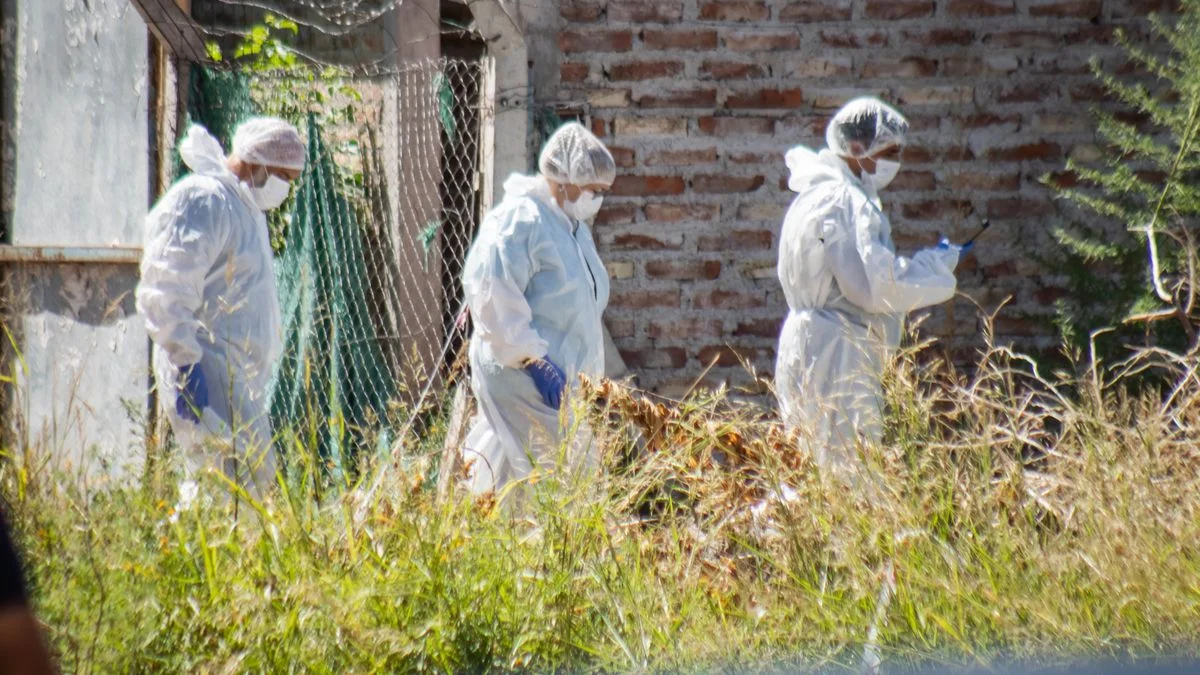 Macabro hallazgo: qué se sabe del cuerpo desmembrado encontrado en el Valle de Uco