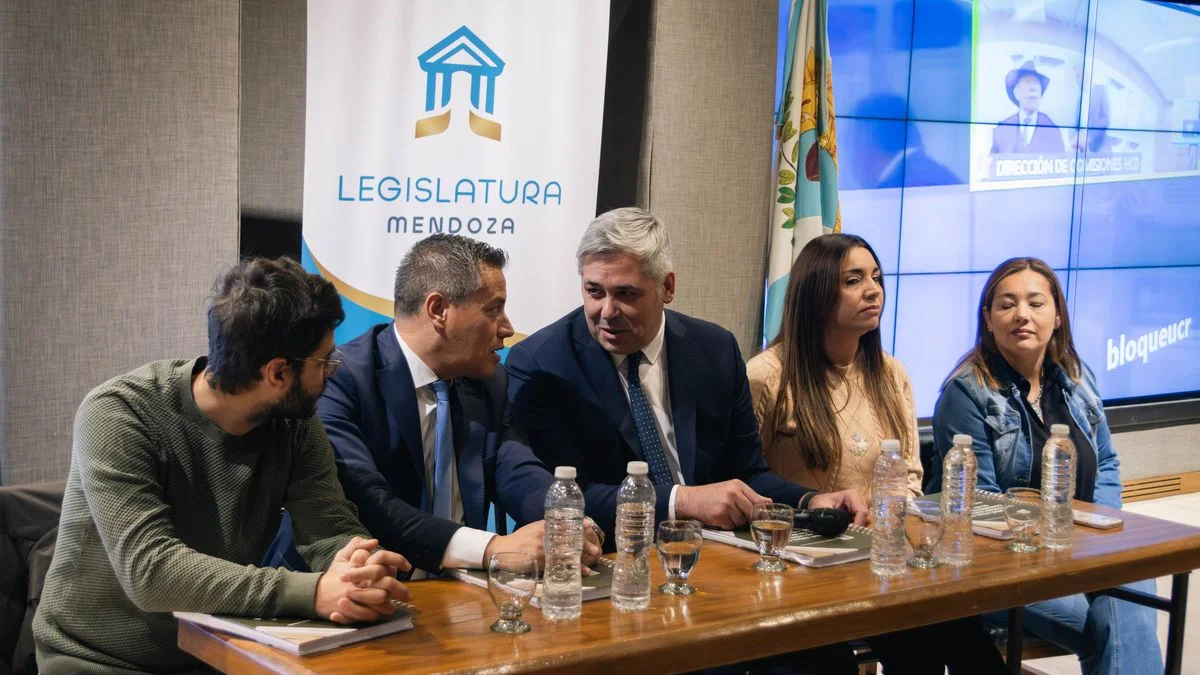 La comisión Bicameral de Seguridad presentó su informe anual: la principal preocupación