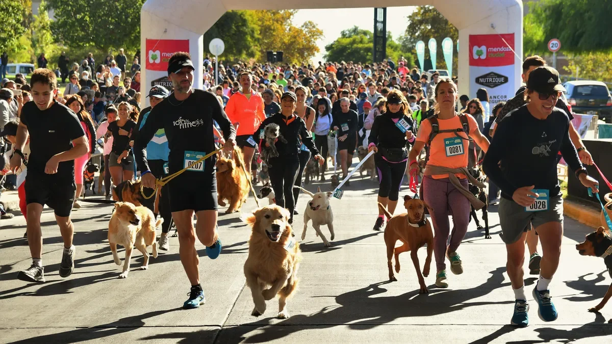 Maratón Animal 2025: estos serán los cortes de calle en la Ciudad de Mendoza