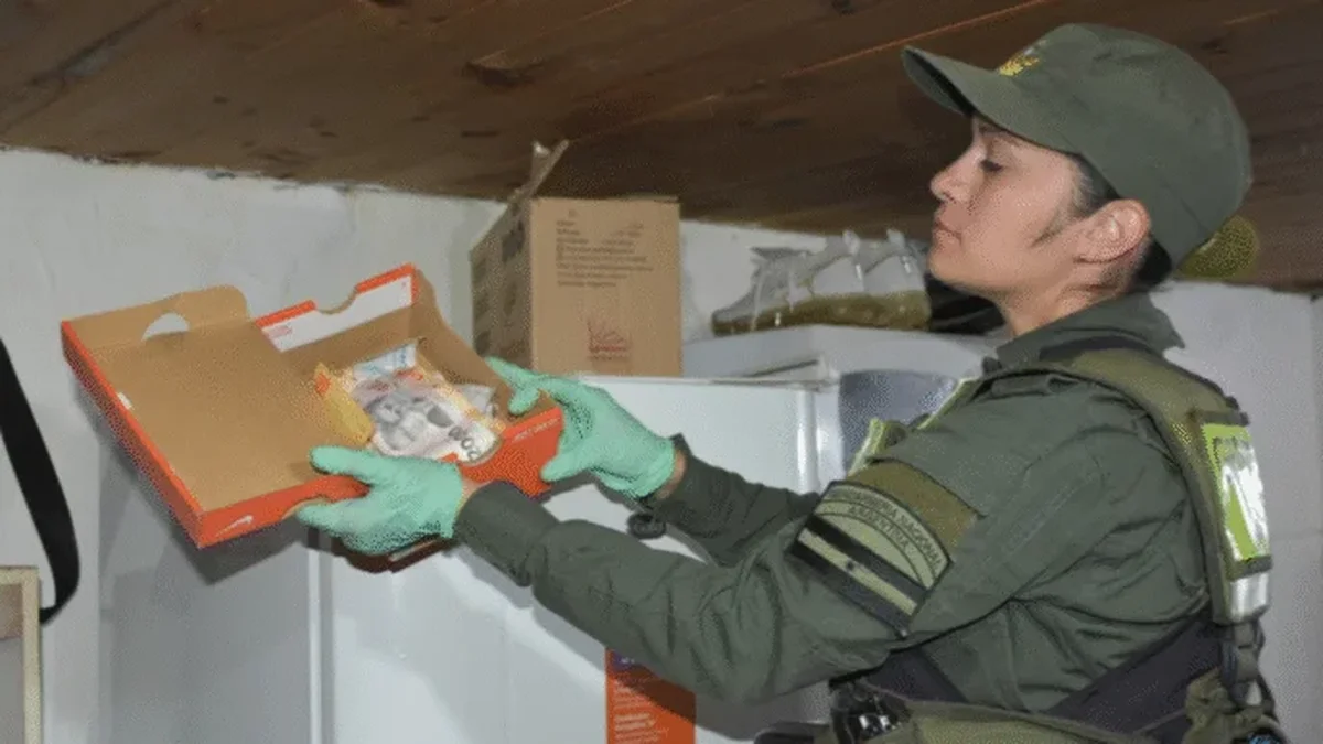 Droga en encomienda: una mujer embarazada quedó detenida en Malargüe