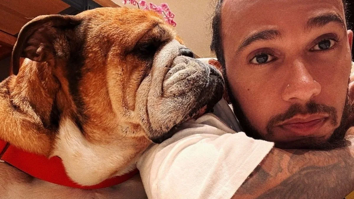 Luchó hasta el final: Lewis Hamilton reveló la batalla de Roscoe antes de su muerte y la lección que le dejó