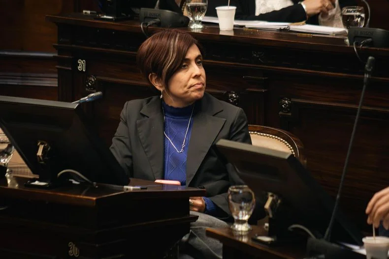 Cecilia Rodr&iacute;guez, diputada y presidenta de la UCR Capital banc&oacute; el las redes el rechazo al veto.&nbsp;