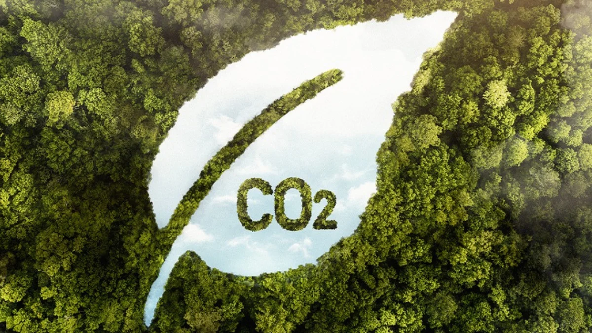 Lanzaron una plataforma para comprar y vender créditos de carbono en el país