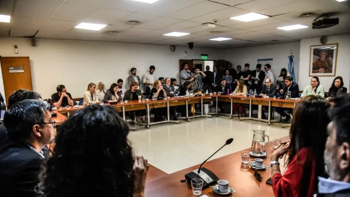 Cristina fuera del juego político: suspendieron varias comisiones en el Congreso tras el fallo de la Corte