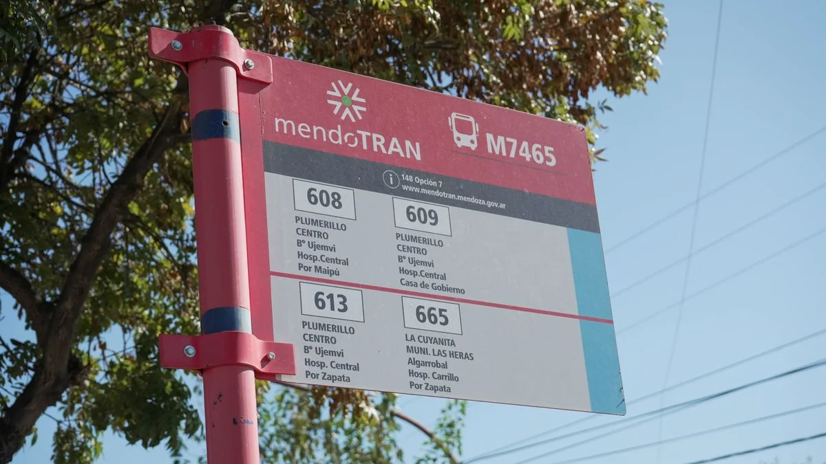 El Gobierno aseguró que el paro nacional de transporte público no afectará a Mendoza