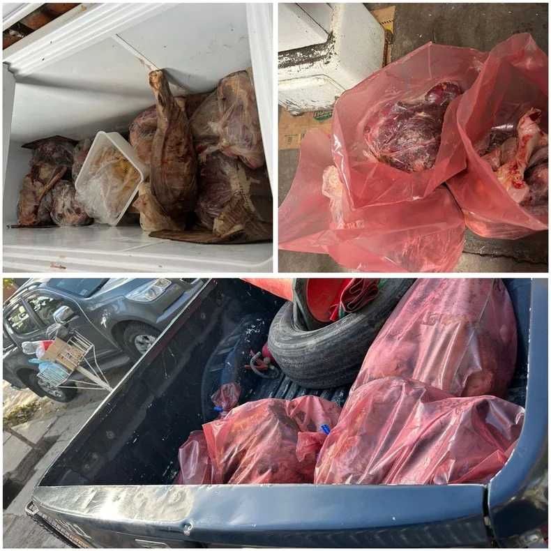 En el este dieron con dos lugares en los que no hab&iacute;a habilitaci&oacute;n para producir ni vender carne.&nbsp;