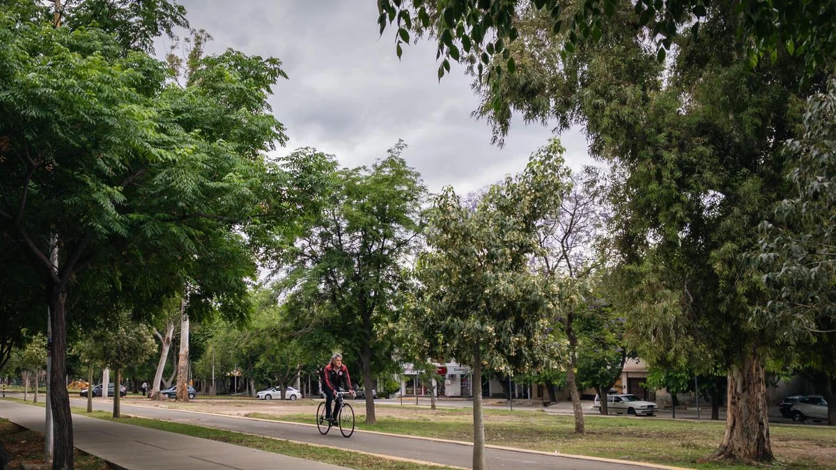 El tiempo en Mendoza: calor sofocante con alerta por tormentas hacia la noche