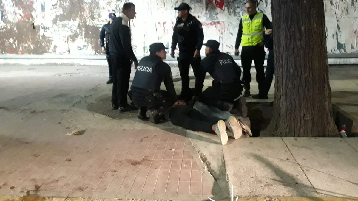 Detuvieron a dos delincuentes que robaron en un vivero de Ciudad