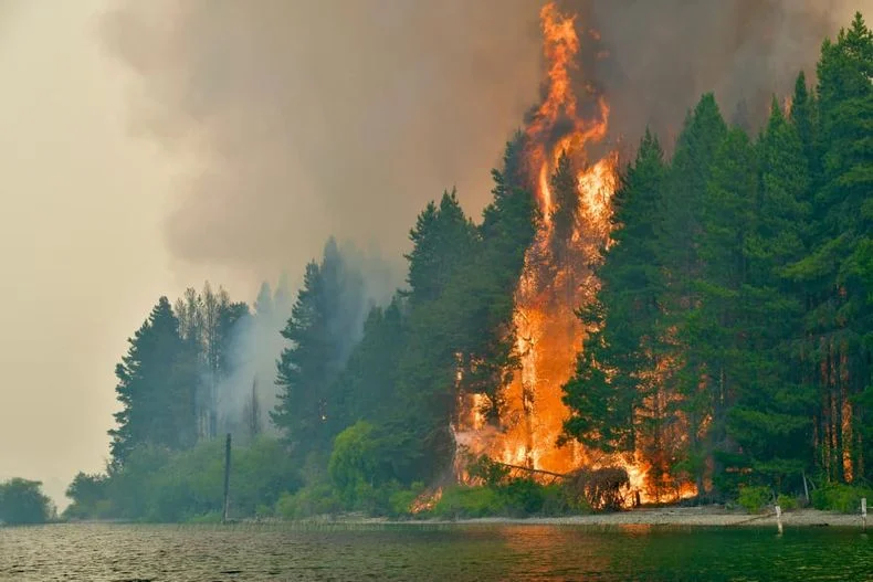 Los brigadistas alzaron la voz en medio de los incendios.