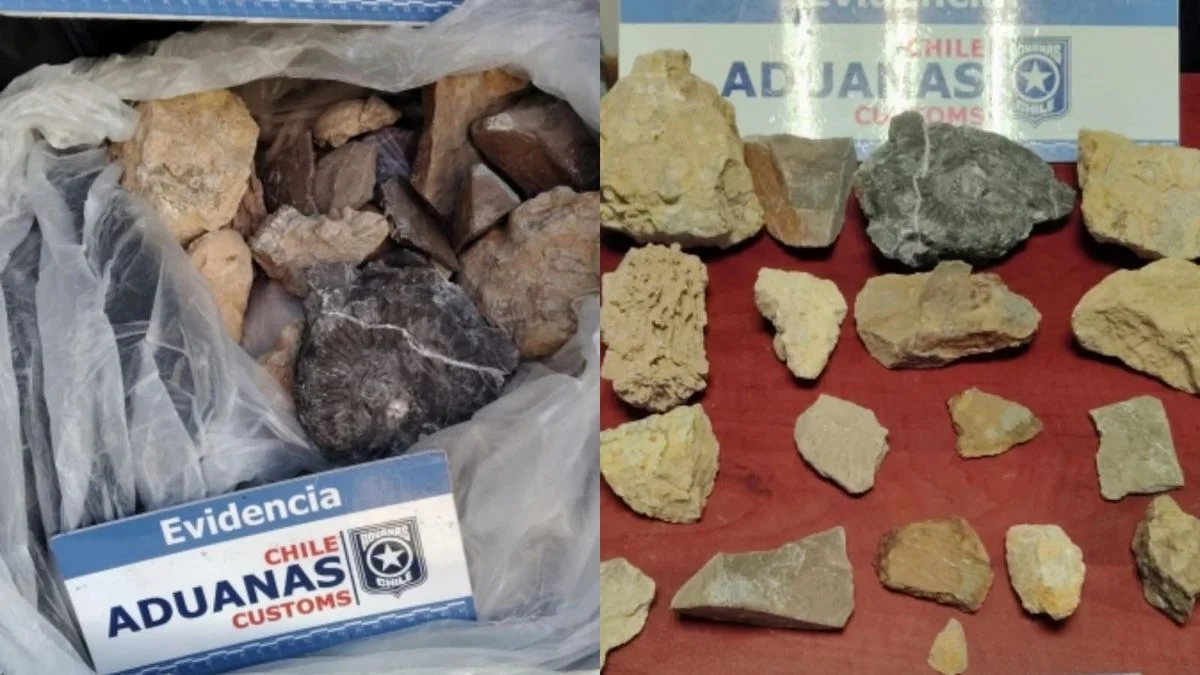 Quiso traficar piezas de valor arqueológico por el Paso Pehuenche y quedó detenido