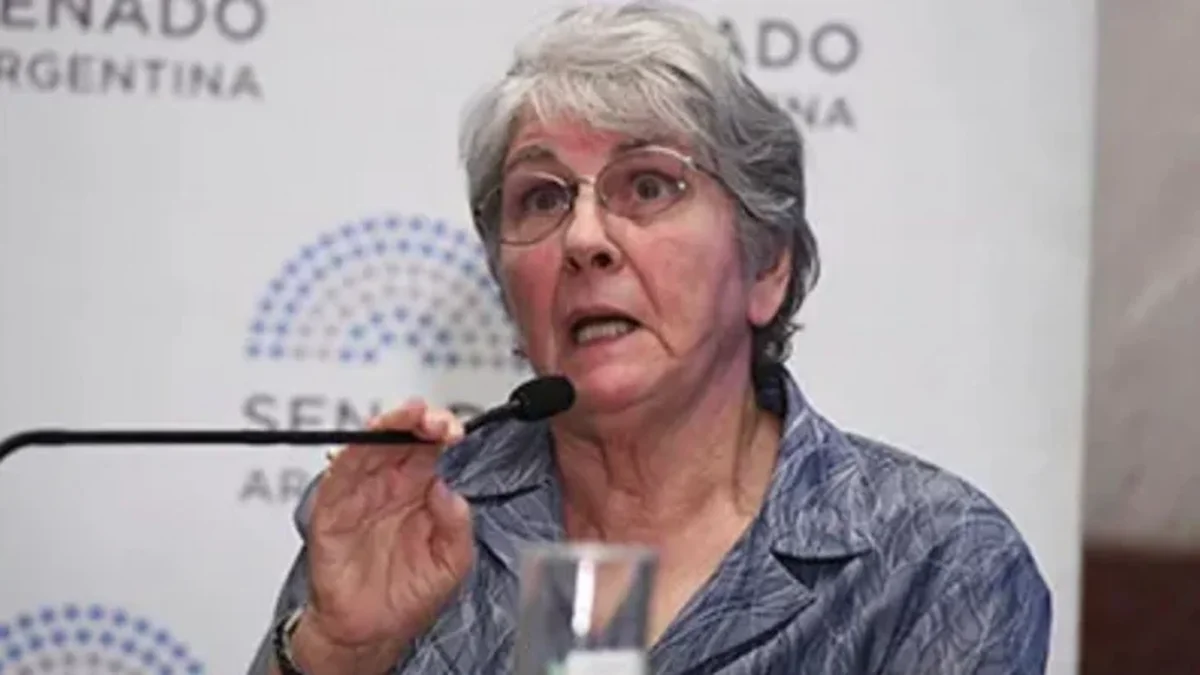 Glaciares: la autora de la ley original denunció una "farsa con pretensiones de audiencia pública"