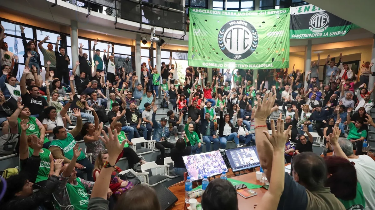 ATE denunció a la ANAC por contratar "militantes libertarios" con "sueldos millonarios"