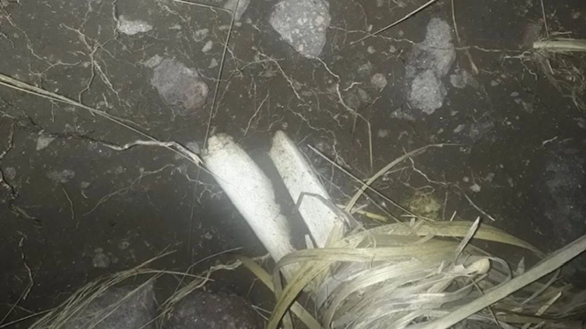 San Rafael: los restos óseos de El Nihuil pertenencen a un joven y un niño