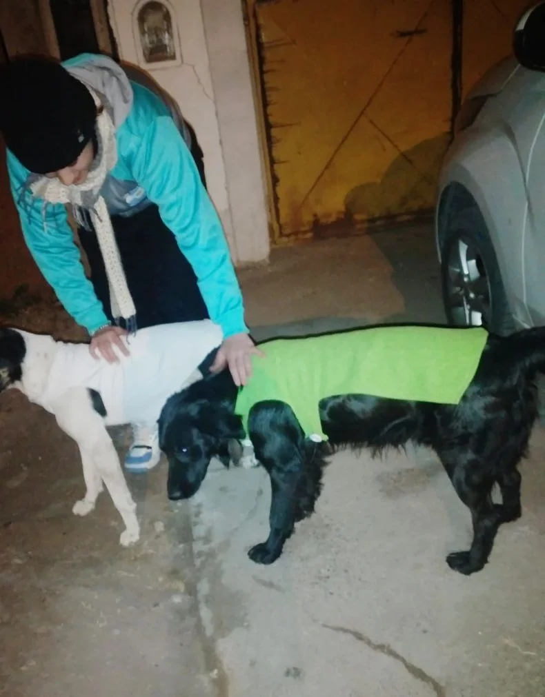 Nicolás junto a las mascotas que ayuda.