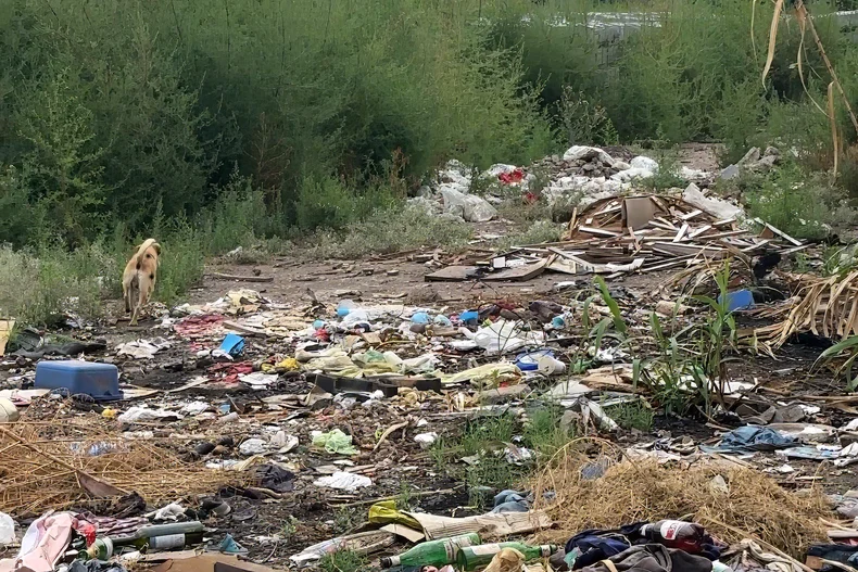 El baldío en inmediaciones al barrio que acumula basura 
