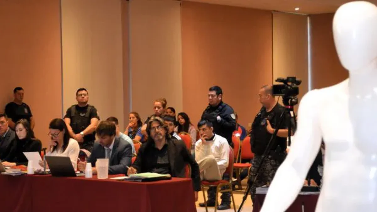 Juicio por el homicidio de Luciano Gómez: peritos tecnológicos, fotos de armas y alegatos finales