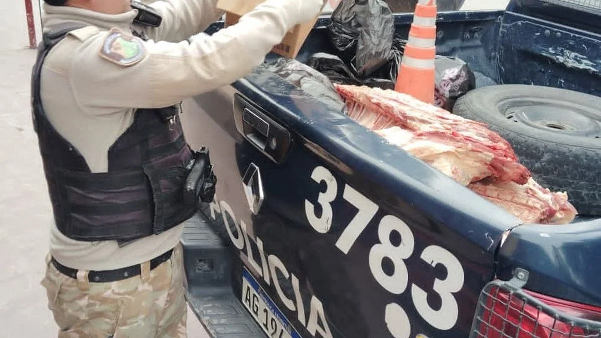 Decomisaron 280 kilos de carne en mal estado en Las Heras durante un operativo conjunto