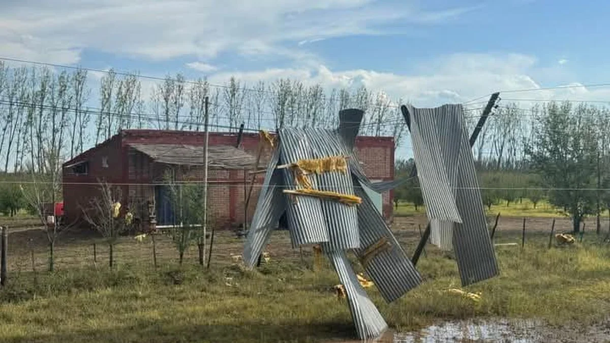 San Rafael: ¿qué implica para los productores la Emergencia Agropecuaria que ratificó Nación?