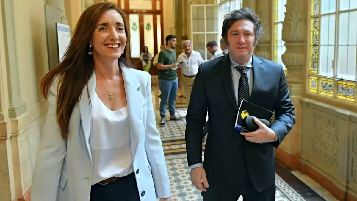 Se recalienta la grieta entre Victoria Villarruel y el entorno de Javier Milei: "Señor extremadamente rubio"