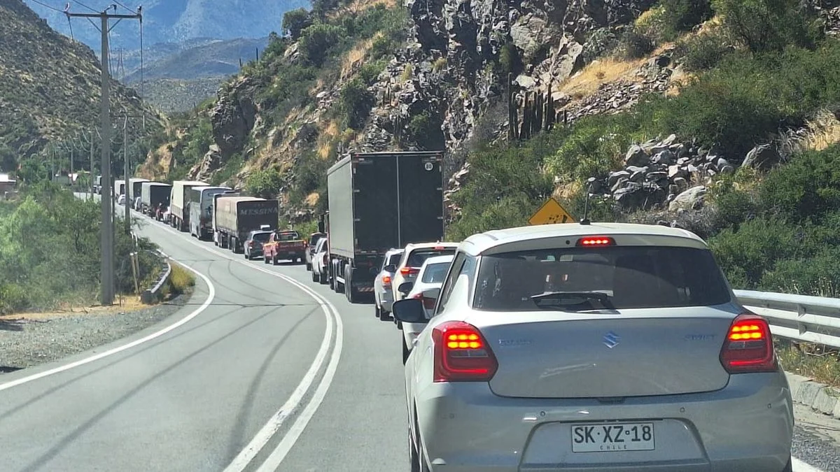 Complicado regreso de mendocinos a la provincia por un incendio forestal en Chile