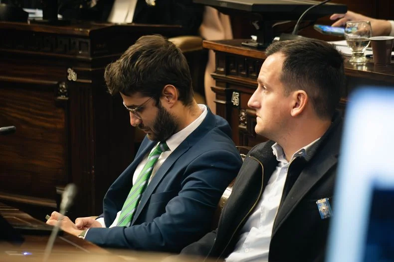 Emanuel Fugazzotto, del Partido Verde, fue muy cr&iacute;tico con el proyecto de la suspensi&oacute;n de las PASO pero se abstuvo.&nbsp;