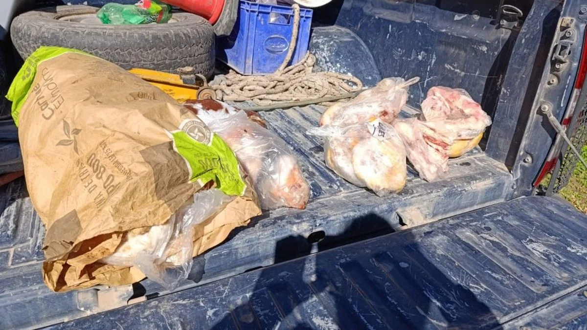 Detectaron carne en mal estado en un comercio de General Alvear y crece la preocupación por el abigeato