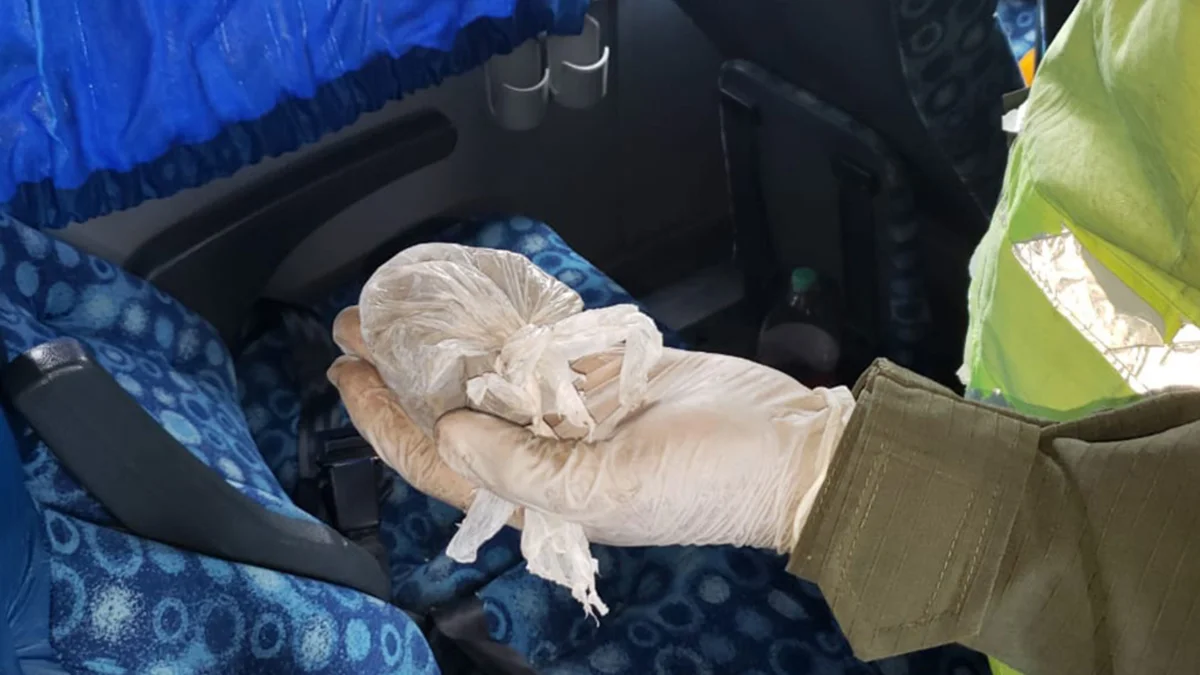 Gendarmería secuestró cocaína y marihuana en micros que trasladaban a hinchas de Independiente de Rivadavia