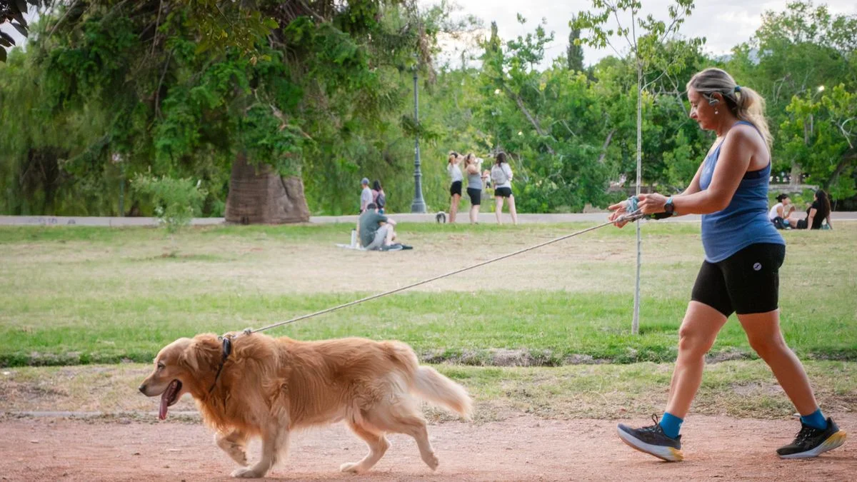 El tiempo en Mendoza: caluroso con una temperatura máxima que podría llegar a los 30 grados