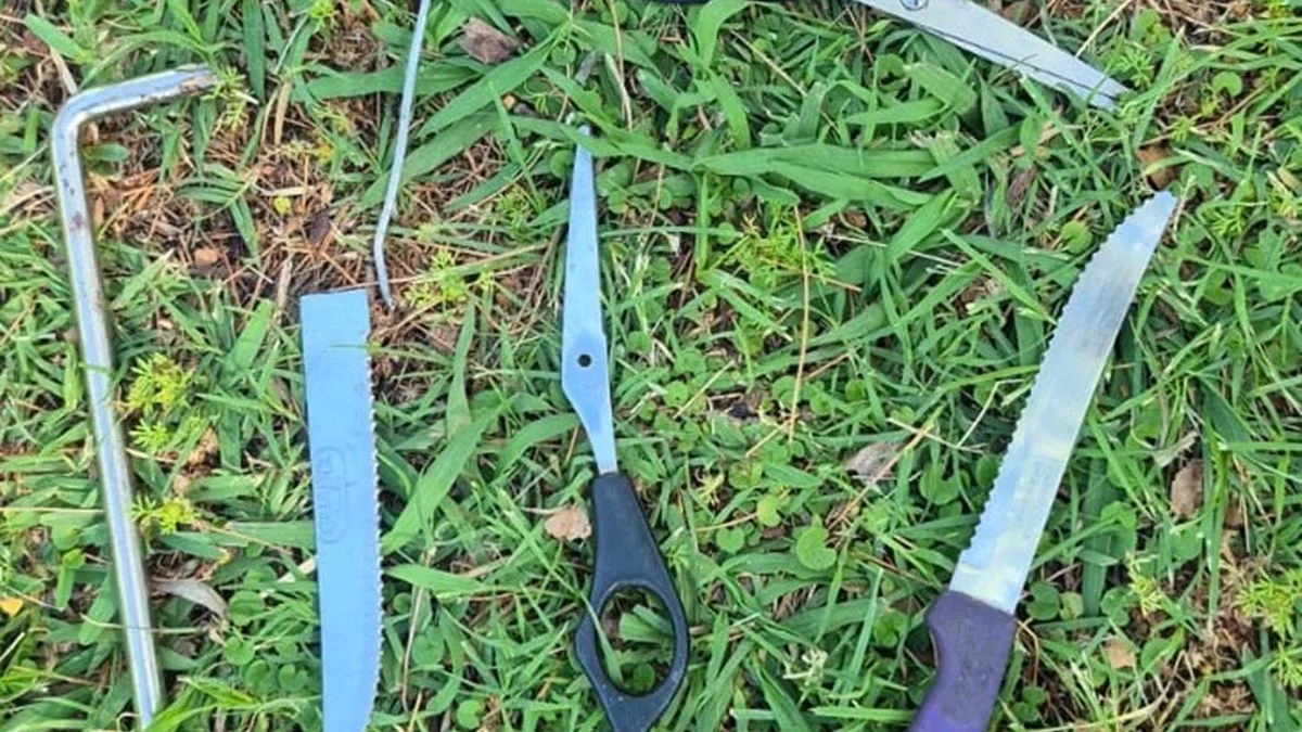 Armado, con cocaína y con antecedentes penales: un joven de 23 años fue detenido en el Parque San Martín
